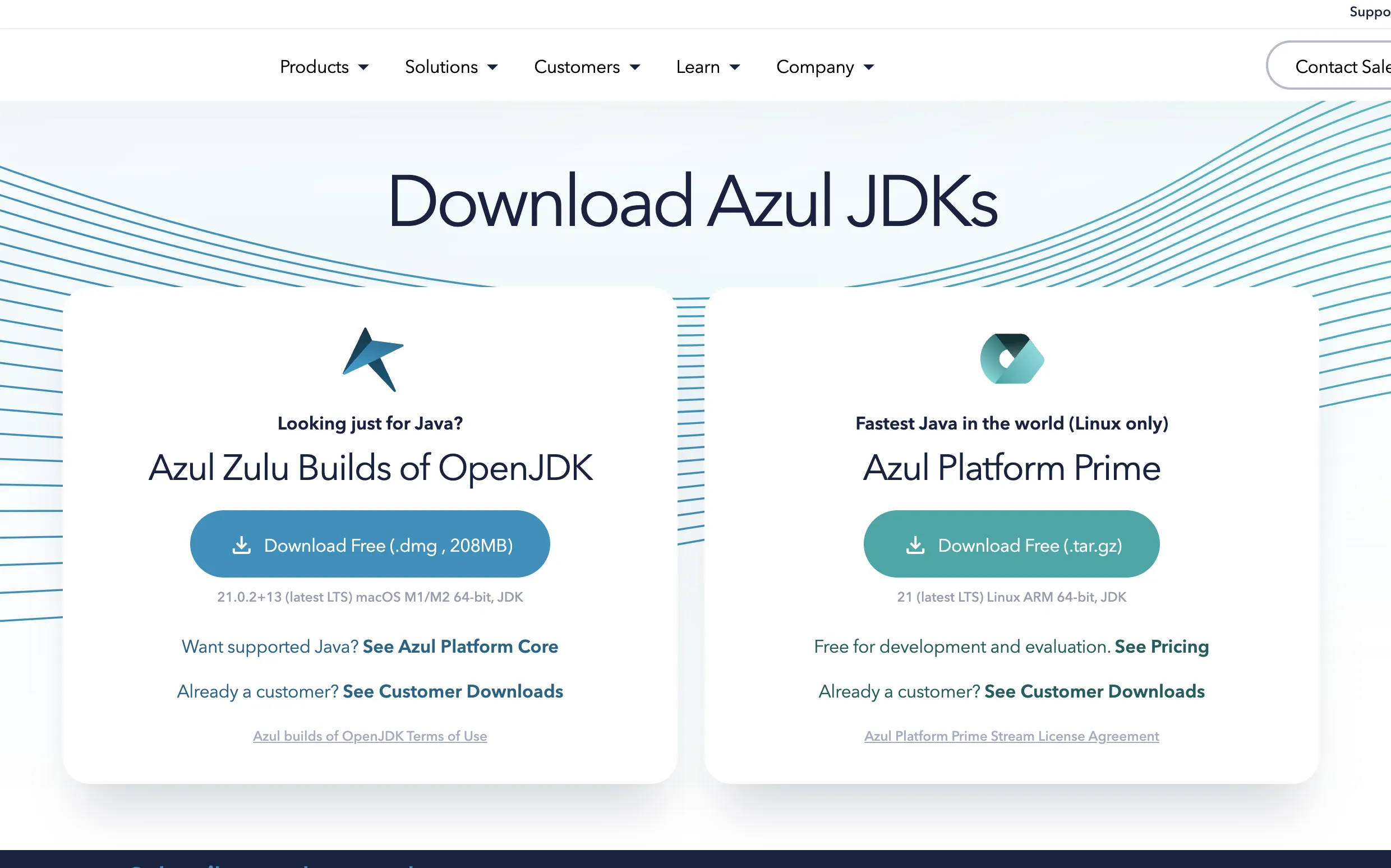 Zulu OpenJDKのダウンロード画面