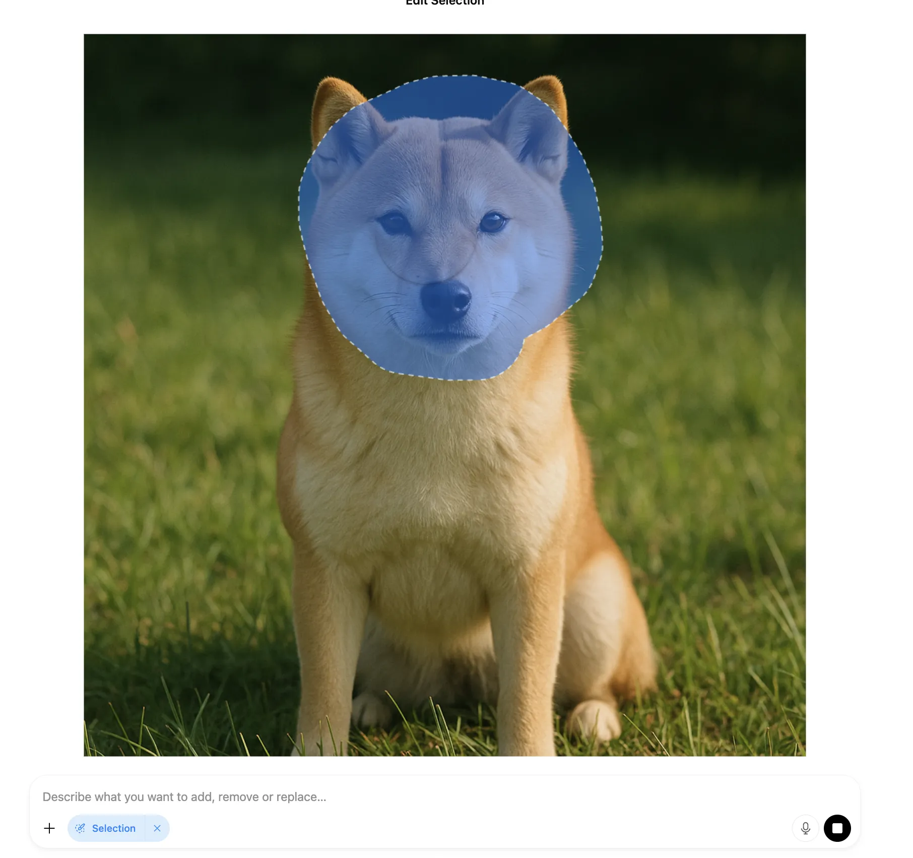 柴犬の顔の部分を選択し、修正