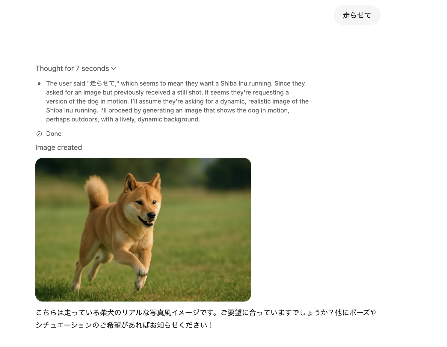 柴犬を走らせる画像