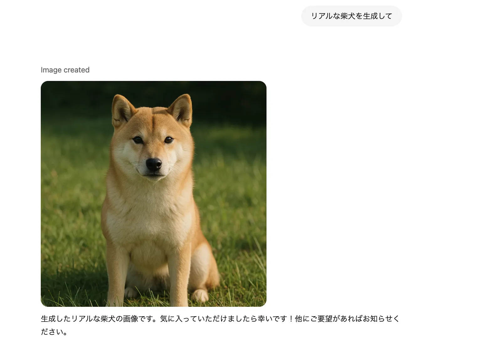 柴犬画像の生成例