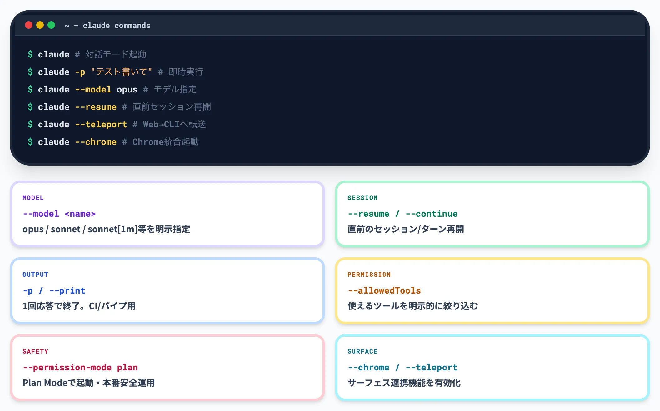 基本コマンドと主要オプション