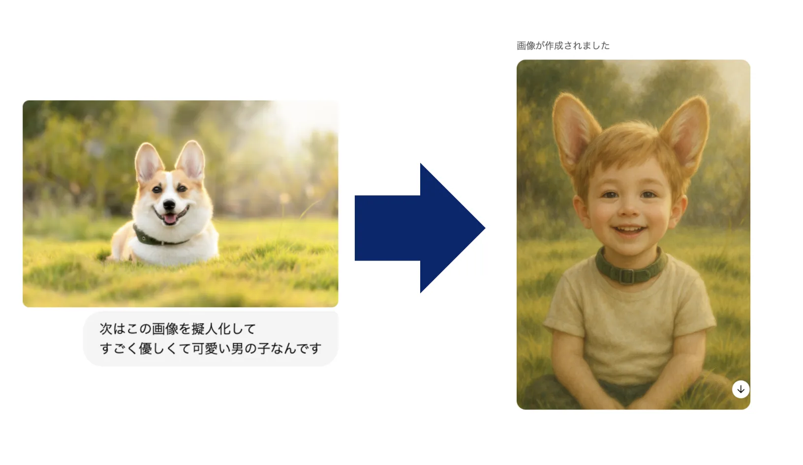 Dog to boy