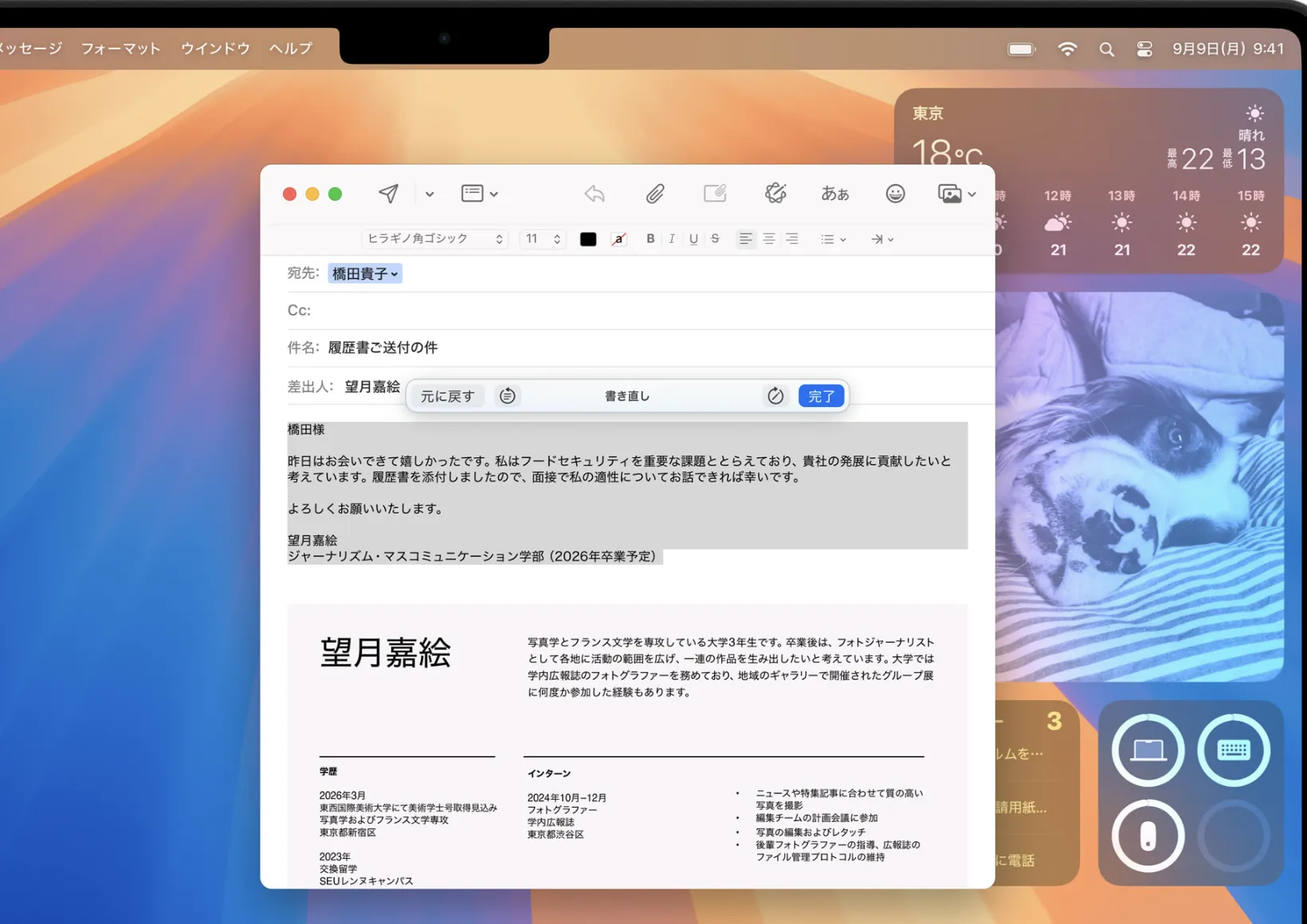 作文ツールの利用画面
