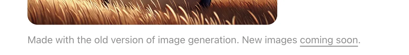 limit_message