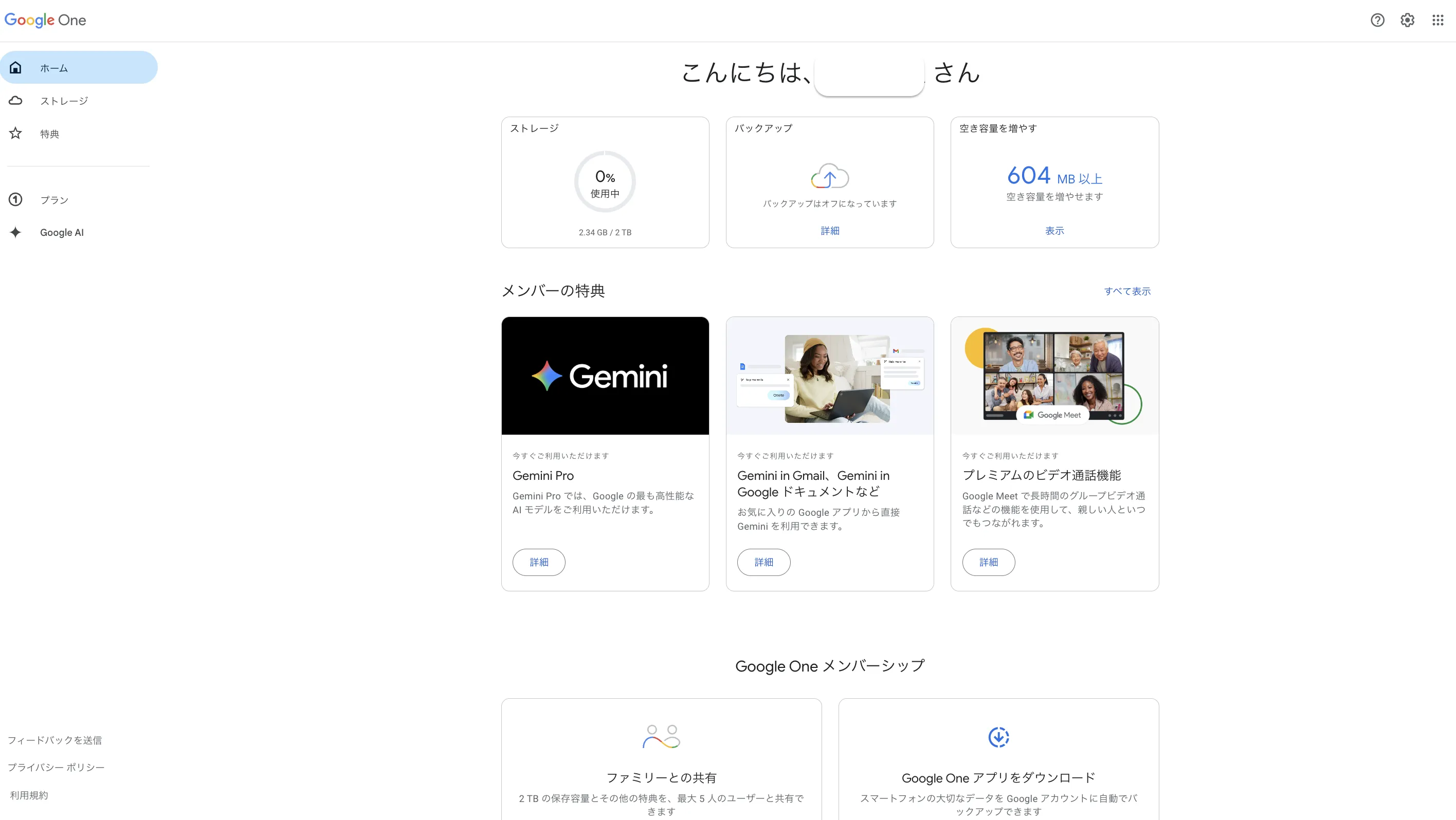 Google Oneトップページ
