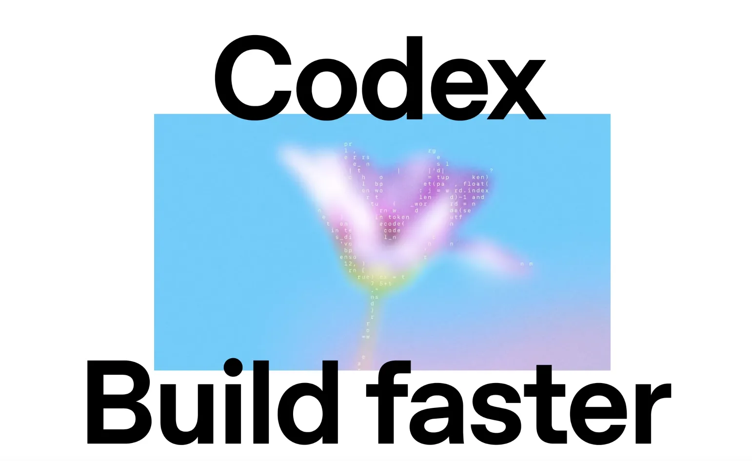 Codexイメージ