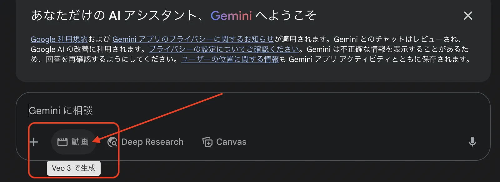 動画をクリック