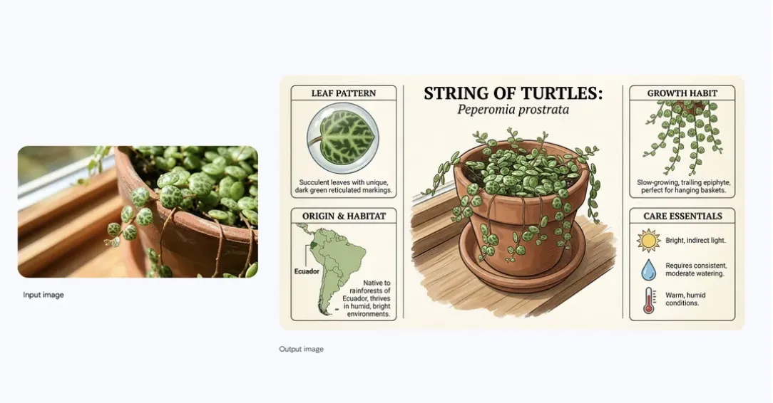 観葉植物のインフォグラフィック生成