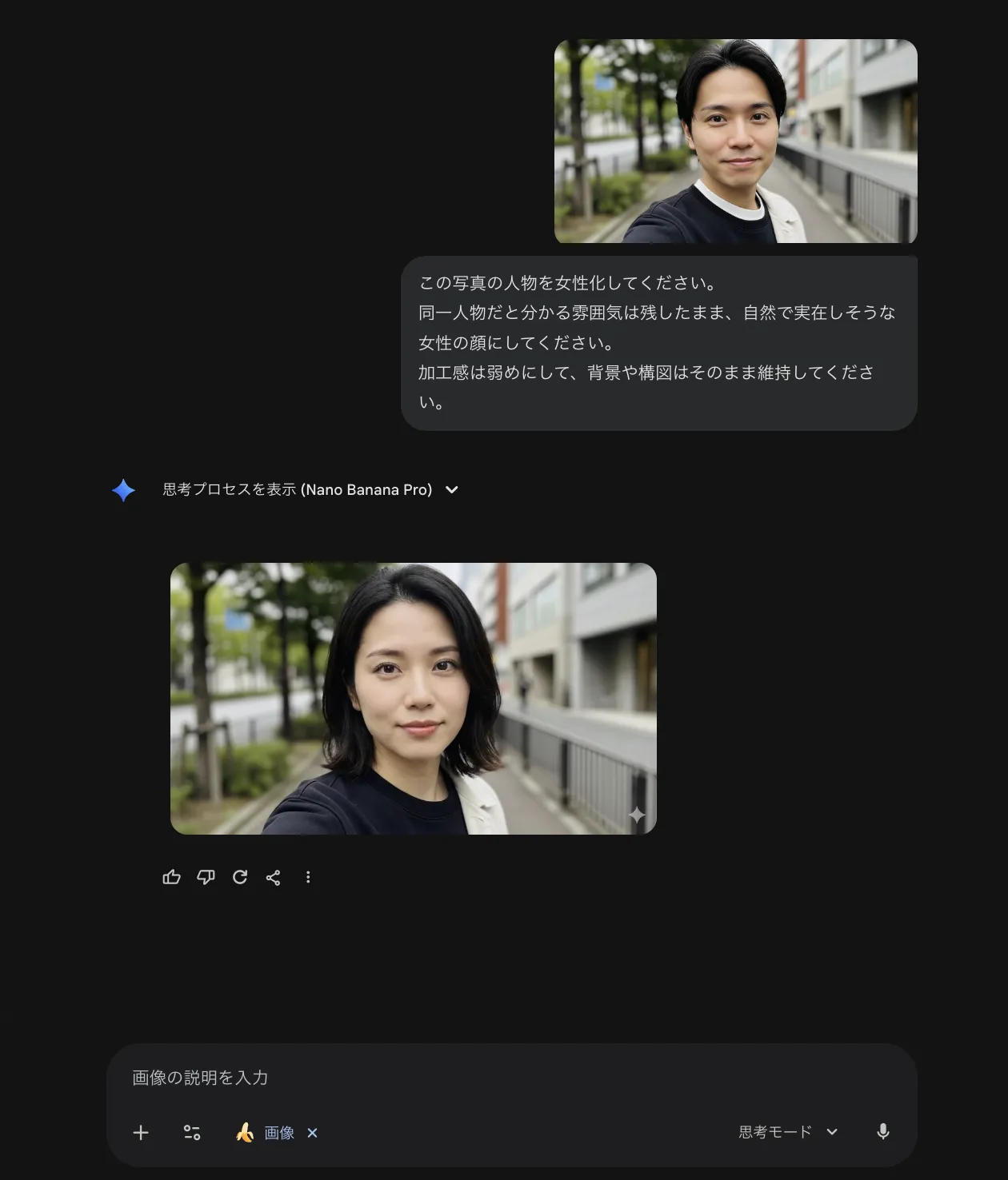 異性化された画像2