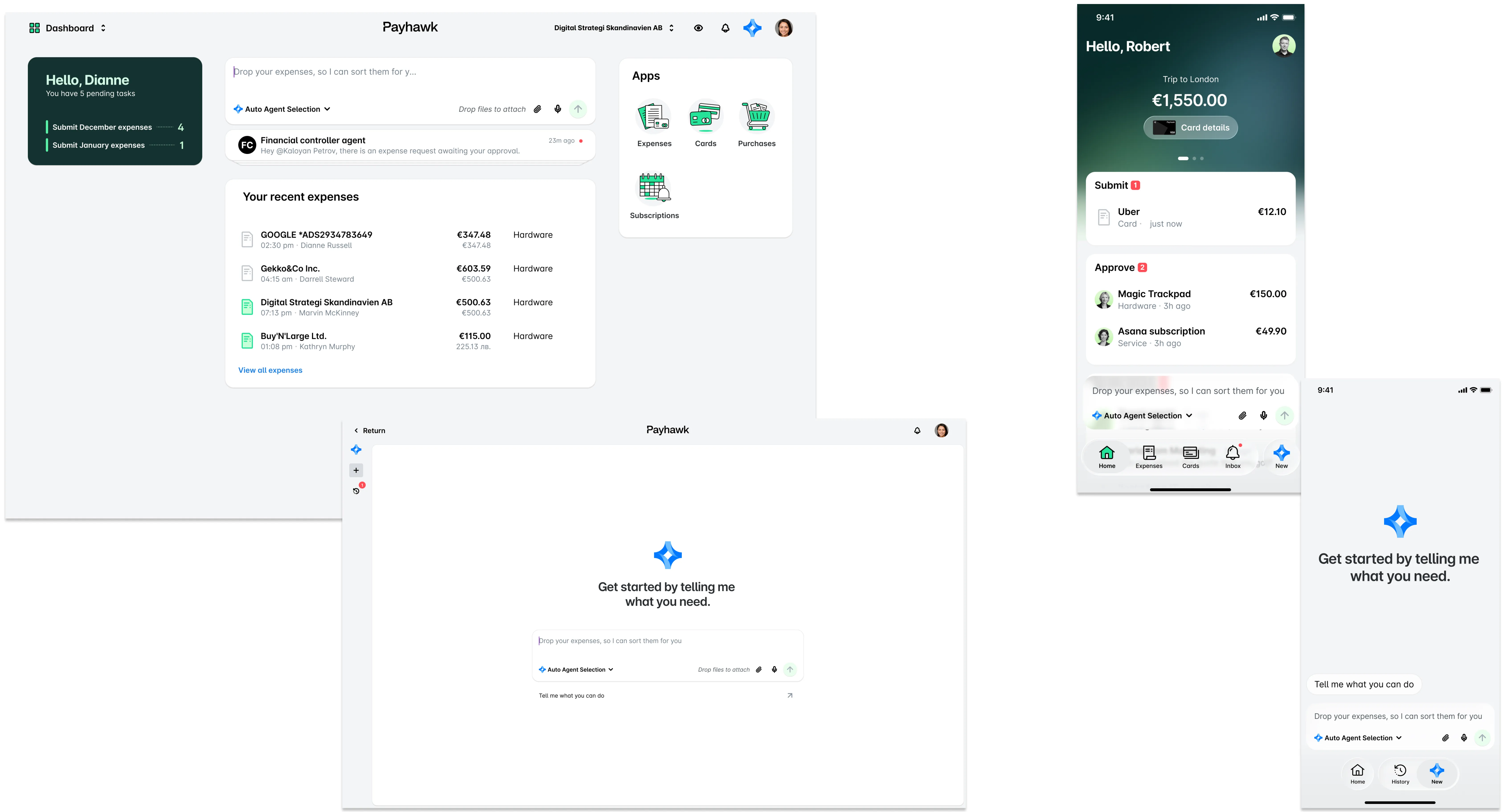 Payhawk Financial Controllerへのアクセス画面