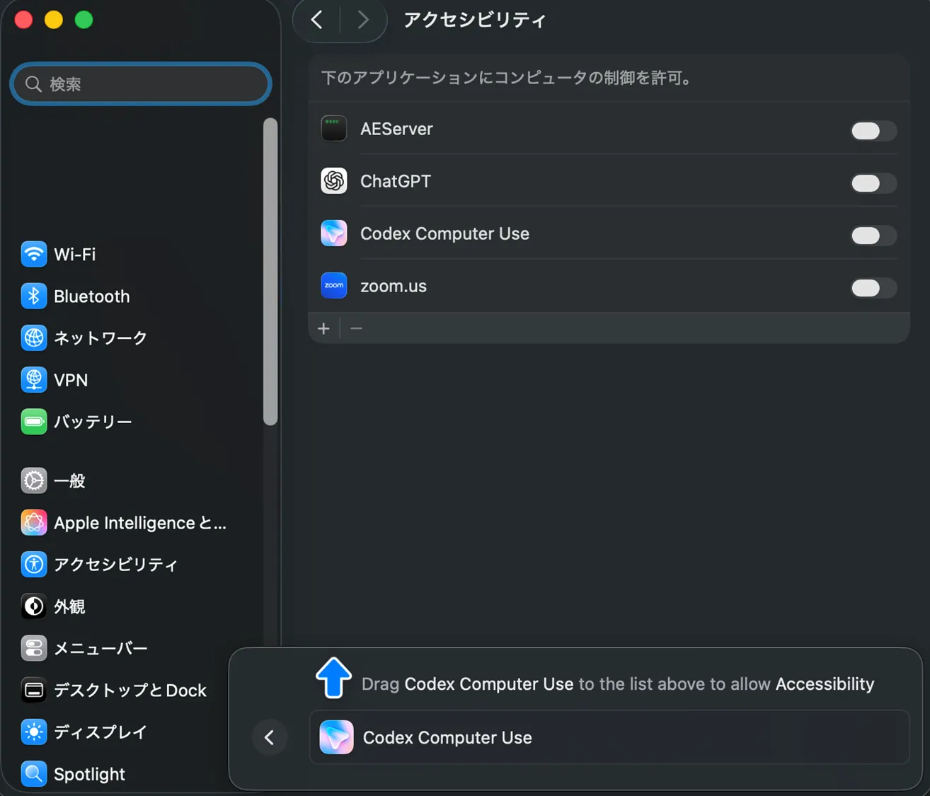 システム設定でアクセシビリティON