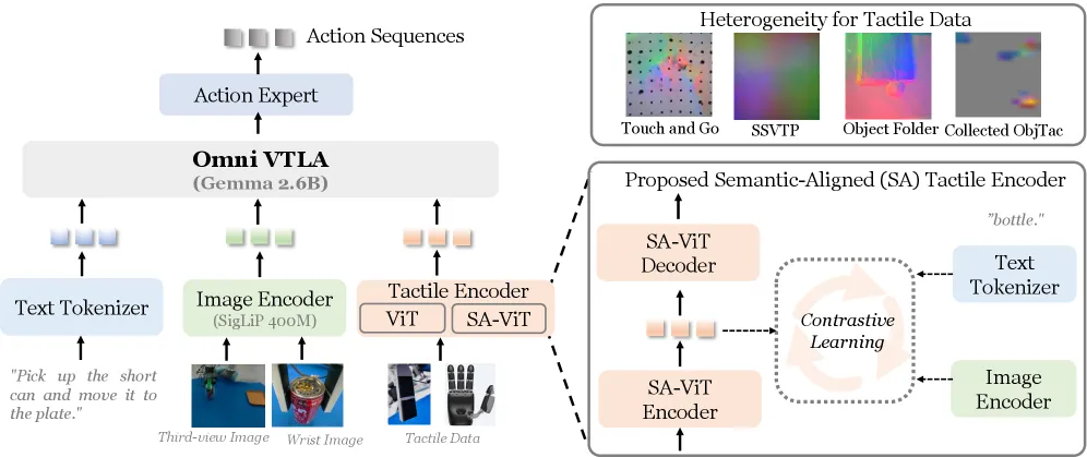 OmniVTLA dual-path tactile encoder