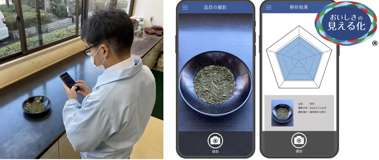 伊藤園のAI画像解析によるお茶の品質推定技術