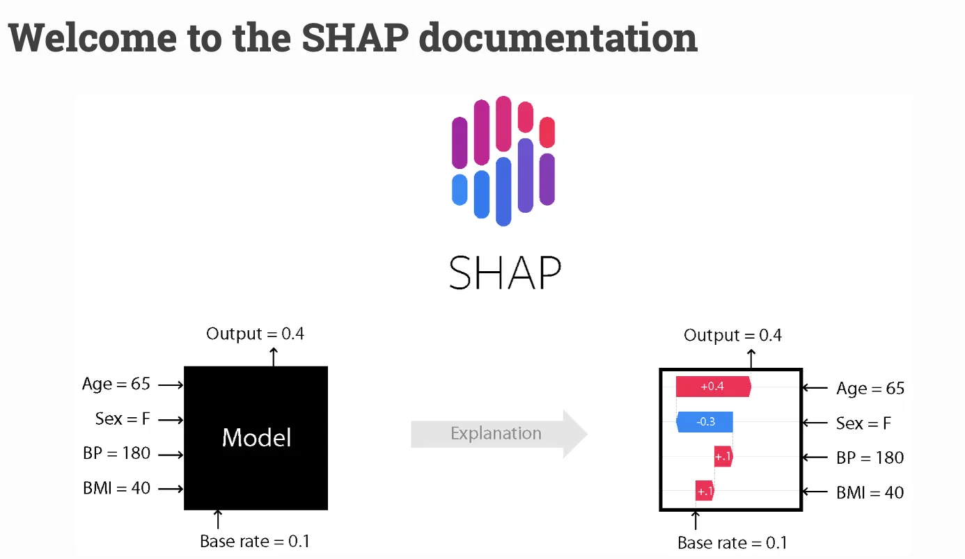 SHapley Additive exPlanationsの画像