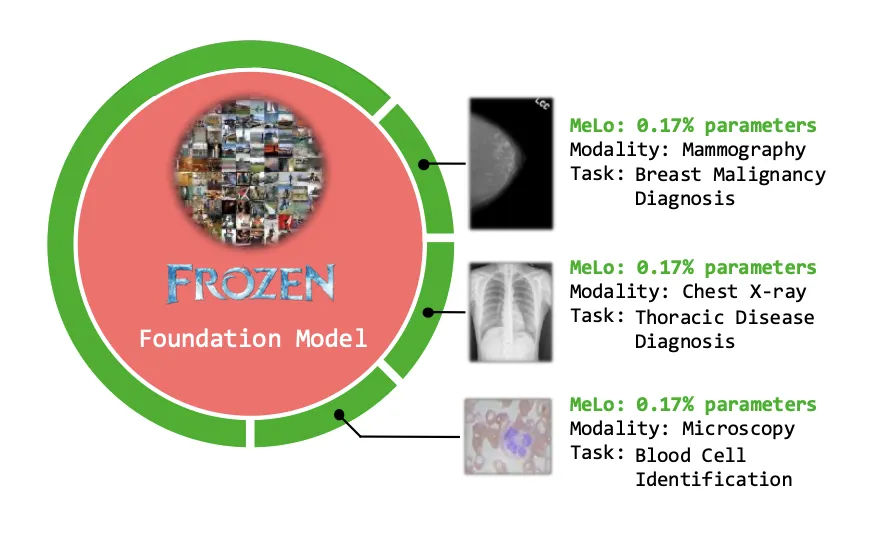 MeLoは元のモデルに対して大幅な変更を加えずに、少量の追加パラメータで簡単に異なる医療診断タスクに適応させることができる