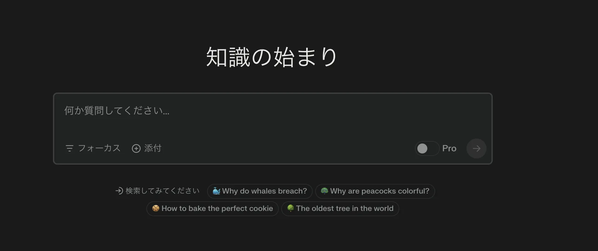 Perplexity AIは日本語対応