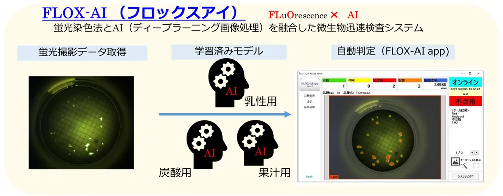 FLOX-AIシステム構成図——蛍光染色とAI画像処理の融合