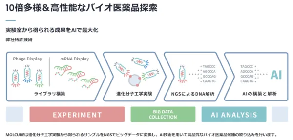 バイオ医薬品探索のイメージ