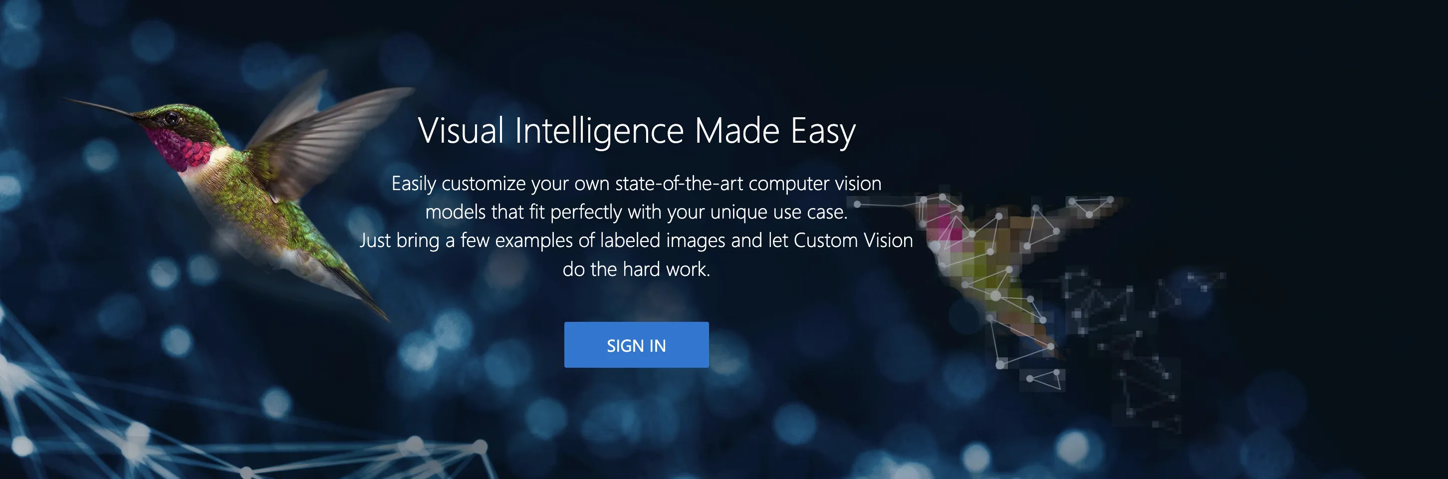 Custom VisionのWebページ