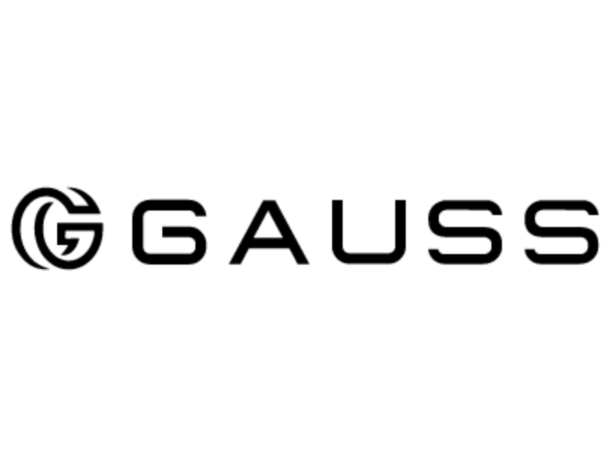 株式会社GAUSS_logo