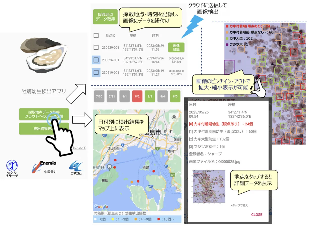 AIを活用したかき幼生検出アプリ：広島