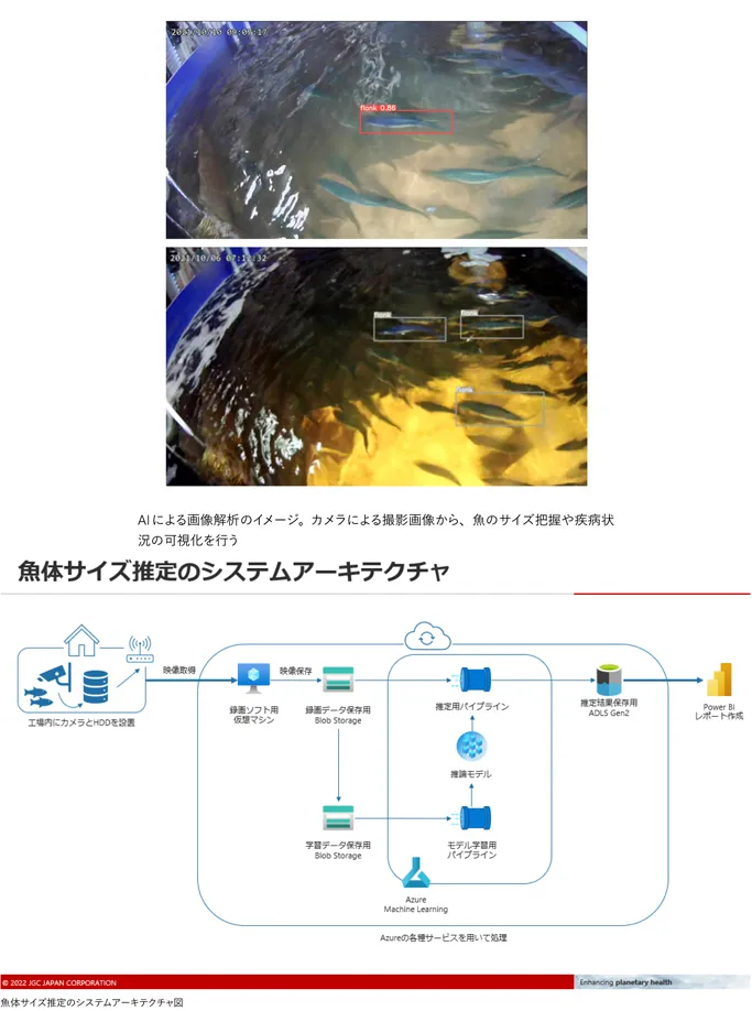 画像AIによる生育推定