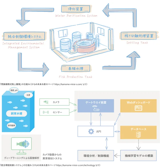 陸上養殖におけるAIの導入