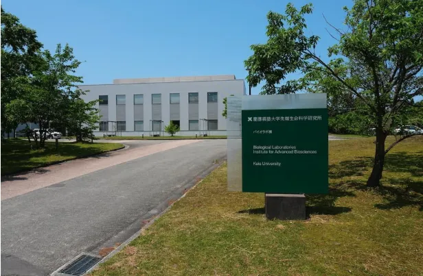 ゲノム解析とAI創薬を後押し。慶應義塾大学先端生命科学研究所がNTTPCの最新GPU基盤を導入